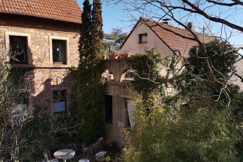 Villa "Casita Linda "Am Donnersberg Dannenfels Esterno foto