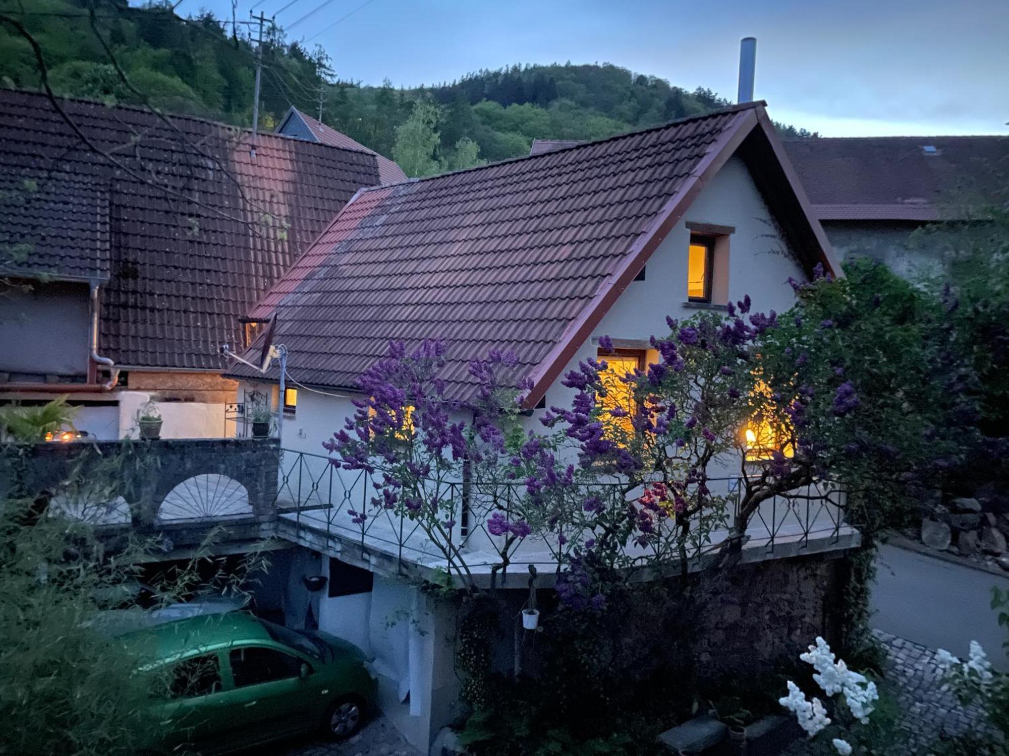 Villa "Casita Linda "Am Donnersberg Dannenfels Esterno foto