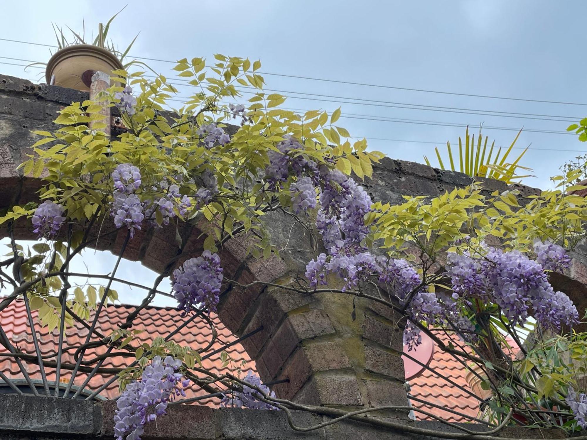Villa "Casita Linda "Am Donnersberg Dannenfels Esterno foto