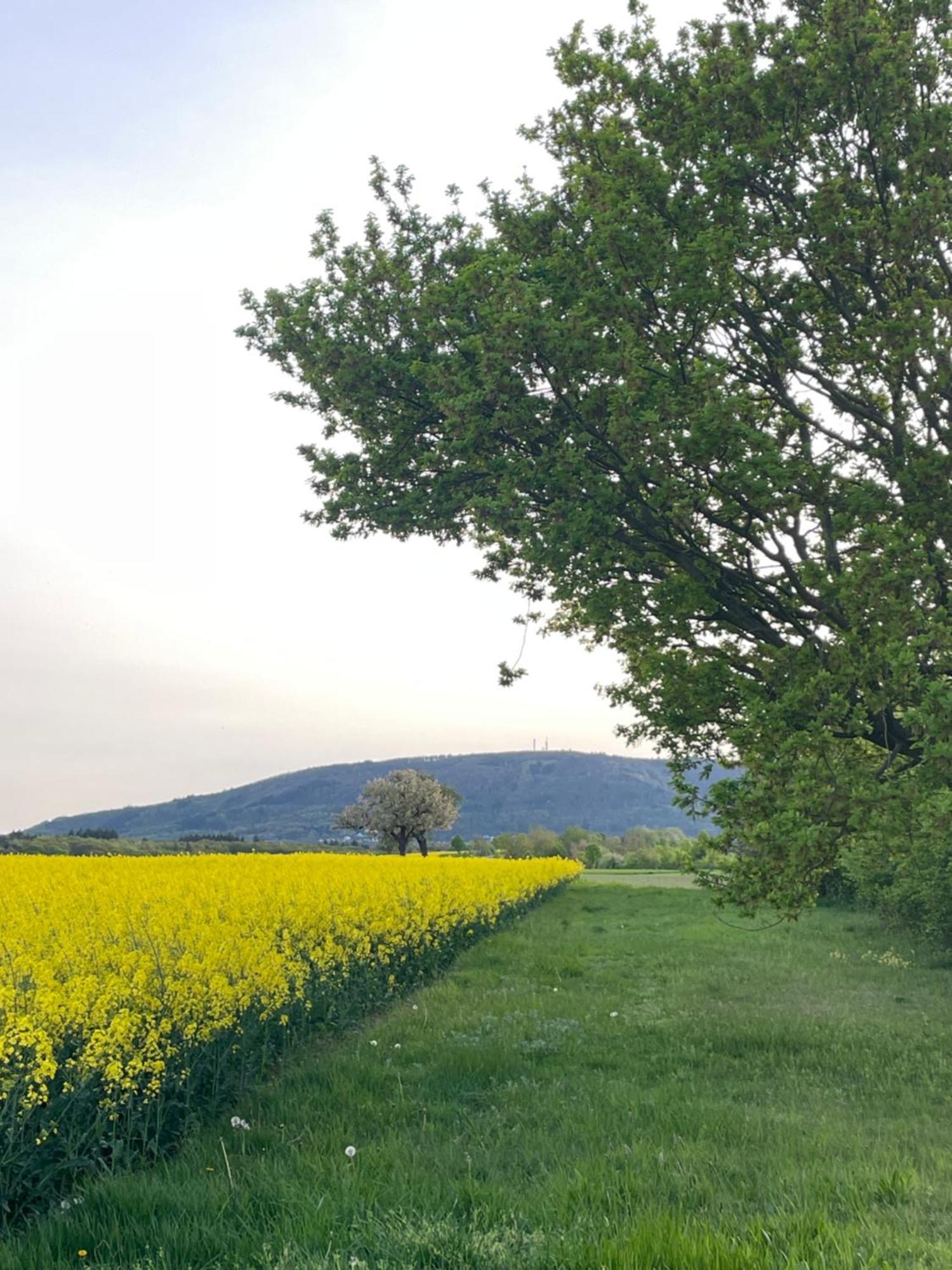 Villa "Casita Linda "Am Donnersberg Dannenfels Esterno foto