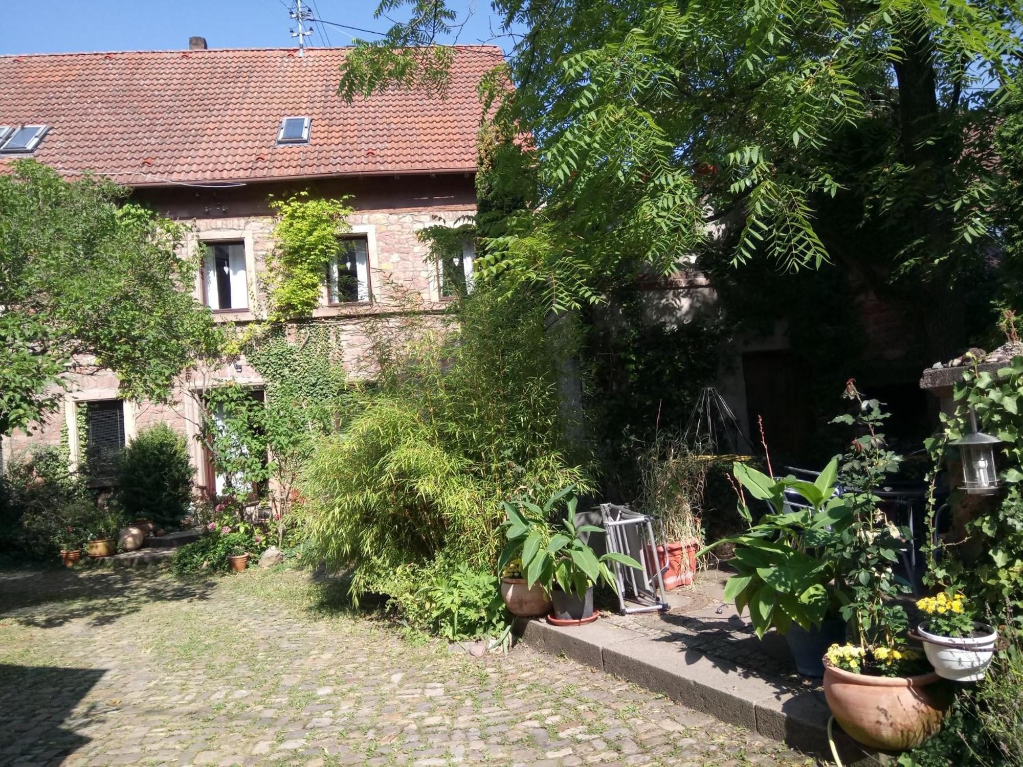Villa "Casita Linda "Am Donnersberg Dannenfels Esterno foto