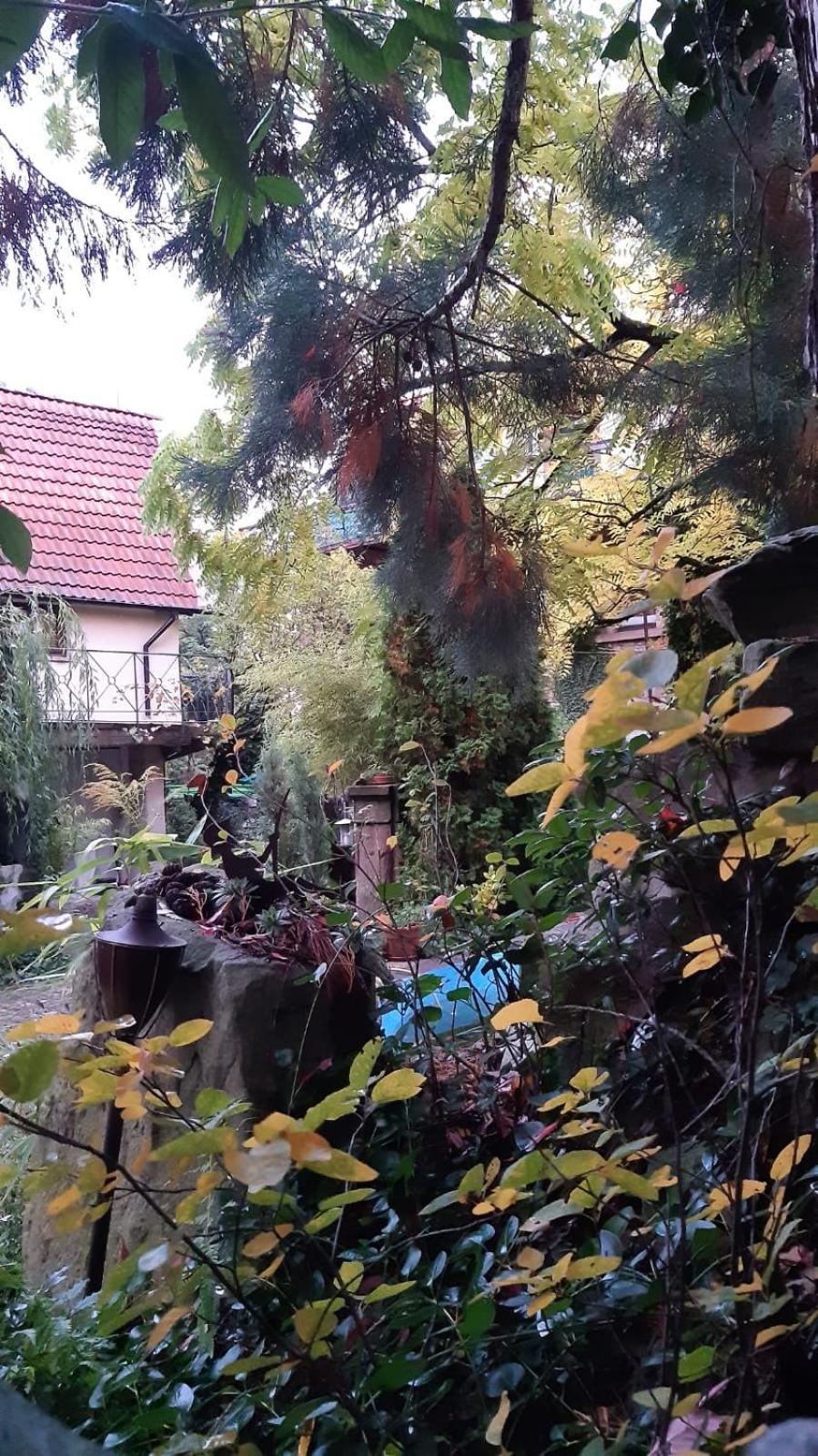 Villa "Casita Linda "Am Donnersberg Dannenfels Esterno foto